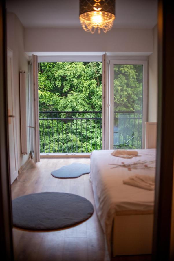 Forest Therapy Suite - Sub Padure Grand Comfort Braşov Extérieur photo