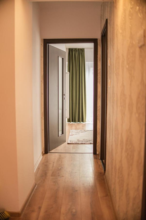 Forest Therapy Suite - Sub Padure Grand Comfort Braşov Extérieur photo