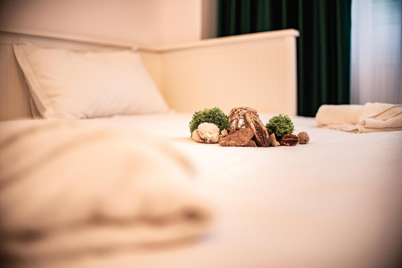 Forest Therapy Suite - Sub Padure Grand Comfort Braşov Extérieur photo